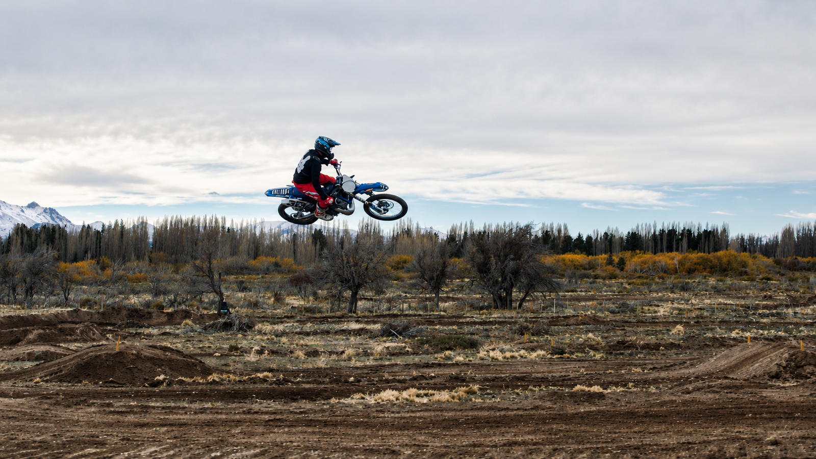 THE WHIP SX